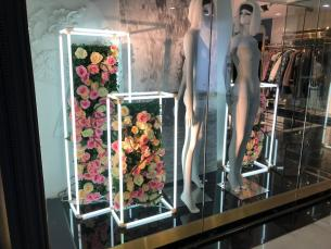 Outdoor Brand Window - Thumbnail 3