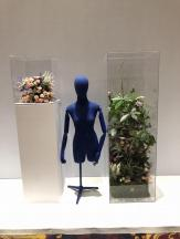 Athletic Brand Window - Thumbnail 7